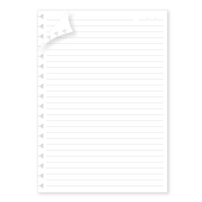 Refil Folhas Removíveis Pautadas Fina Ideia 16,5x23,2cm 40 folhas papel 90g/m²