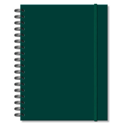 Caderno Folhas Removíveis Fina Ideia Liso Verde 16,5x23,2cm 80 folhas 90g/m² capa dura