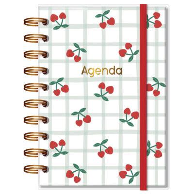 Agenda Diária P 2026 Fina Ideia Cereja 9,5x13,5 cm 168 Folhas capa protetora